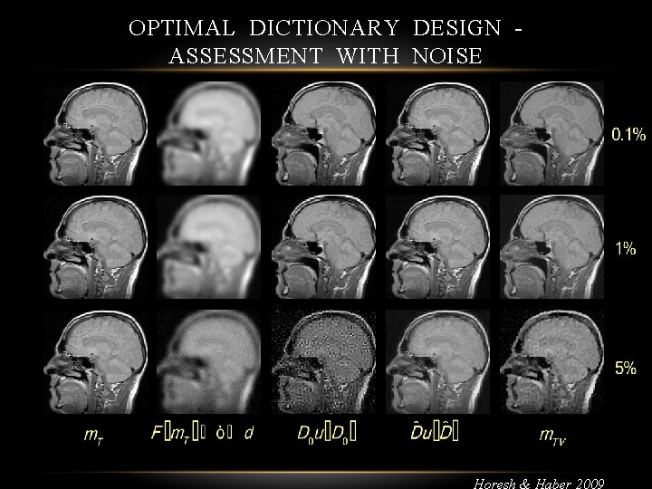 OPTIMAL DICTIONARY DESIGN ASSESSMENT WITH NOISE Horesh & Haber 2009 