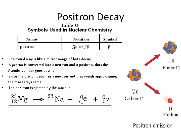 Positron Decay • • Positron decay is like a mirror image of beta decay.