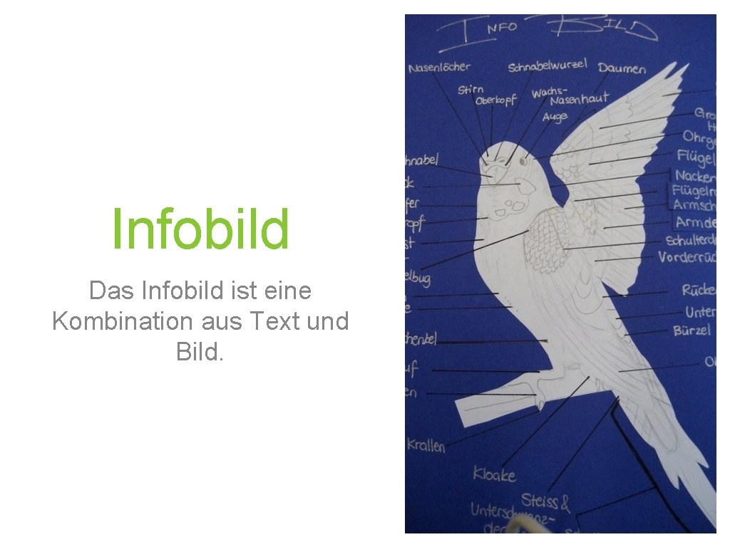 Infobild Das Infobild ist eine Kombination aus Text und Bild. 