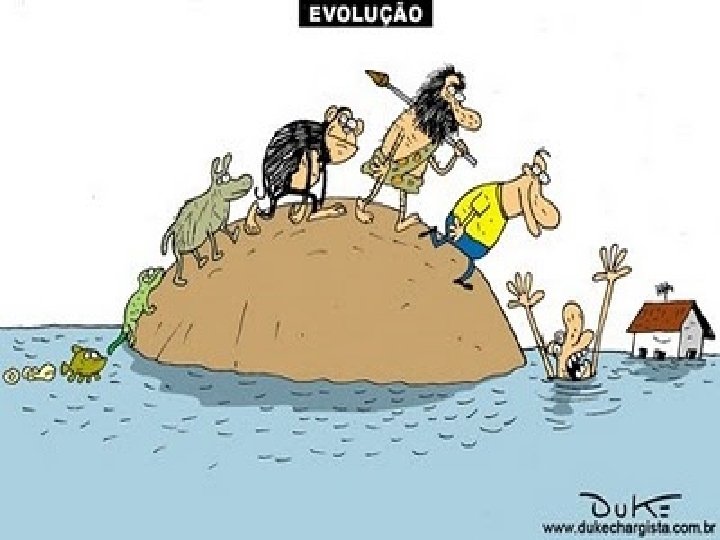 Evolução 