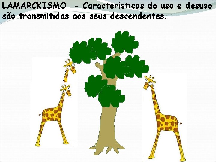 LAMARCKISMO - Características do uso e desuso são transmitidas aos seus descendentes. 