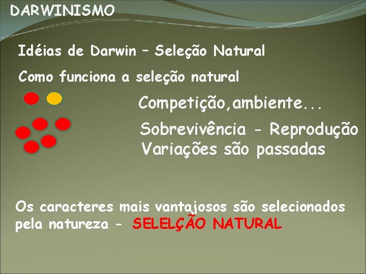 DARWINISMO Idéias de Darwin – Seleção Natural Como funciona a seleção natural Competição, ambiente.