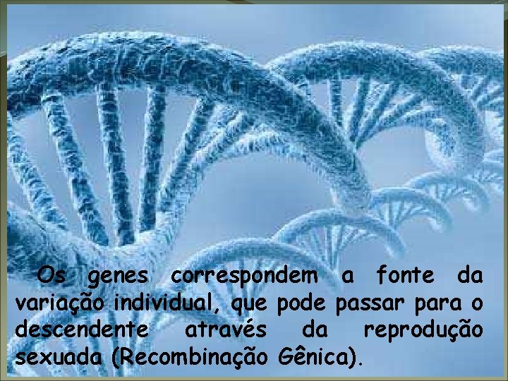 Evolução Os genes correspondem a fonte da variação individual, que pode passar para o