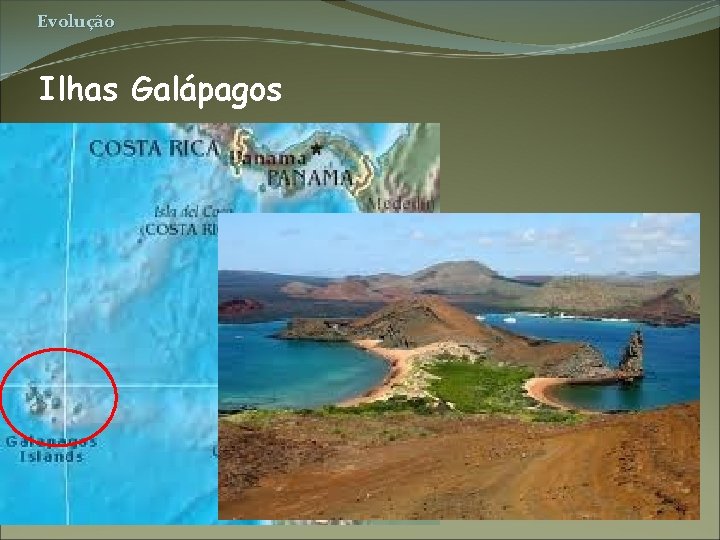 Evolução Ilhas Galápagos 