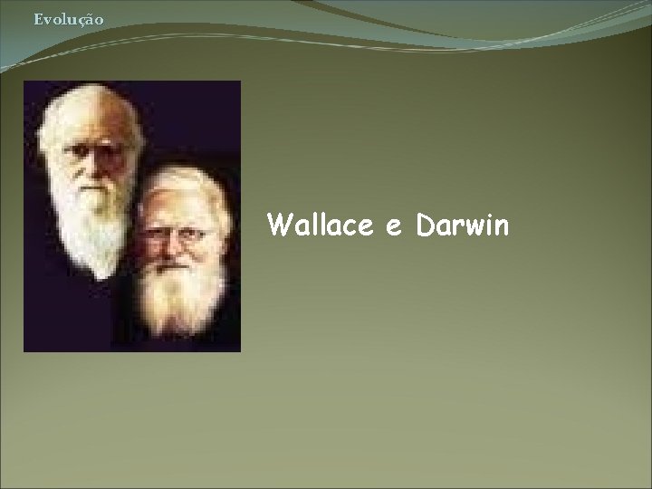 Evolução Wallace e Darwin 