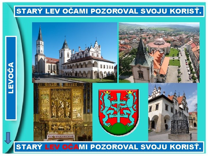 LEVOČA STARÝ LEV OČAMI POZOROVAL SVOJU KORISŤ. 