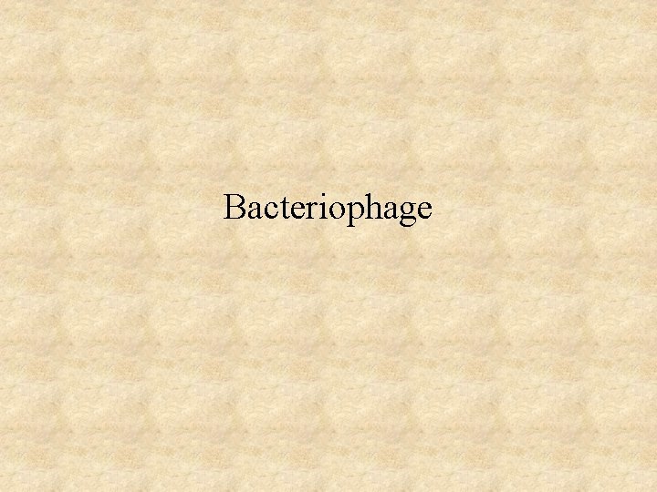 Bacteriophage 