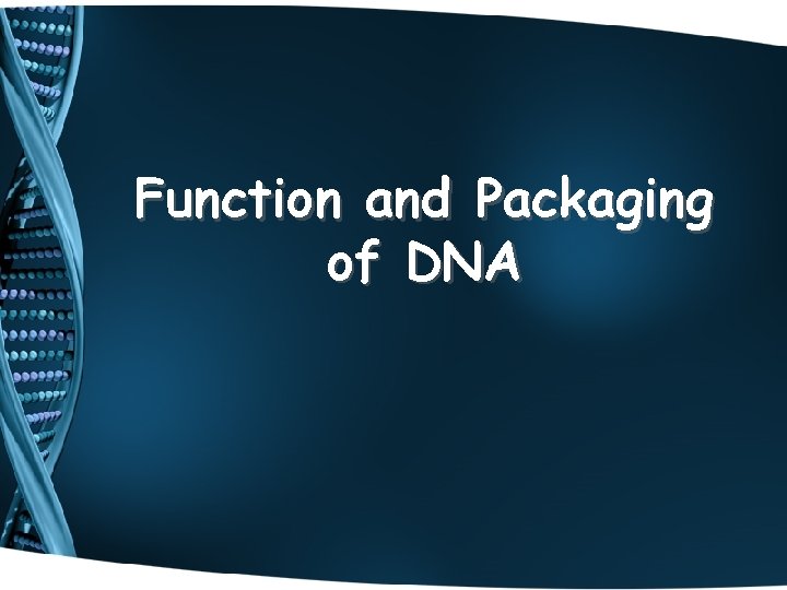 Function and Packaging of DNA 