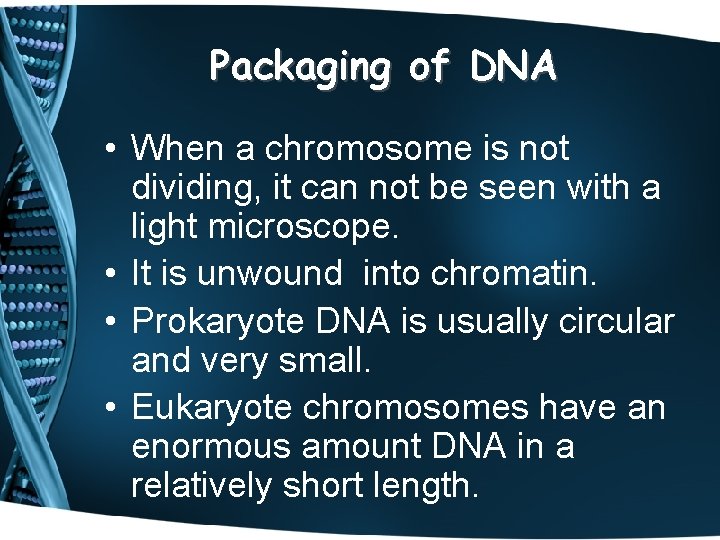 Packaging of DNA • When a chromosome is not dividing, it can not be