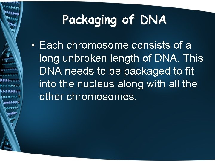 Packaging of DNA • Each chromosome consists of a long unbroken length of DNA.