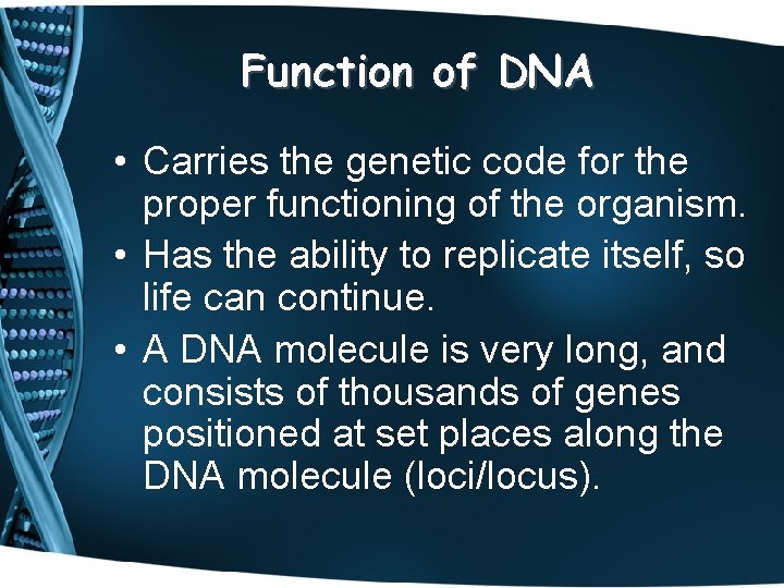 Function of DNA • Carries the genetic code for the proper functioning of the