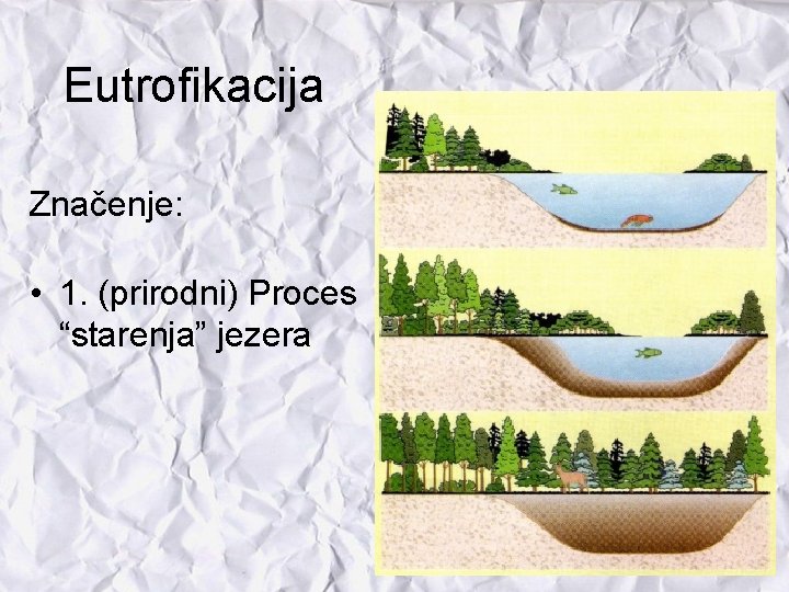 Eutrofikacija Značenje: • 1. (prirodni) Proces “starenja” jezera 