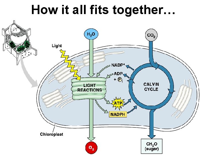 How it all fits together… 