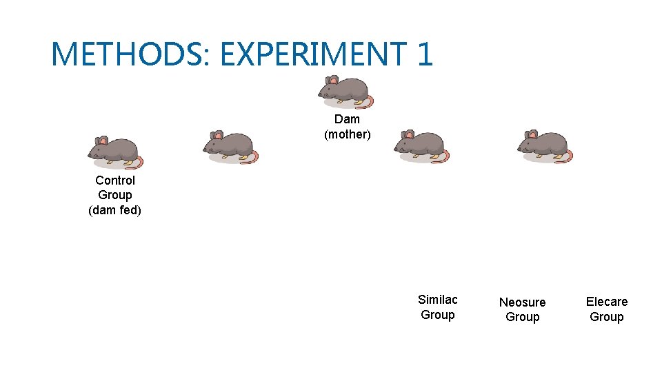 METHODS: EXPERIMENT 1 Dam (mother) Control Group (dam fed) Similac Group Neosure Group Elecare