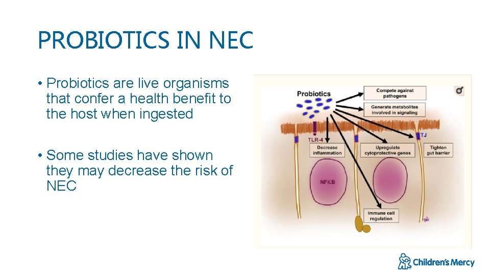 PROBIOTICS IN NEC • Probiotics are live organisms that confer a health benefit to