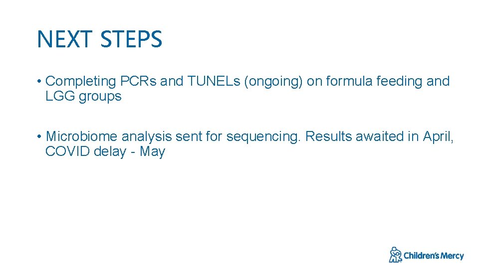 NEXT STEPS • Completing PCRs and TUNELs (ongoing) on formula feeding and LGG groups