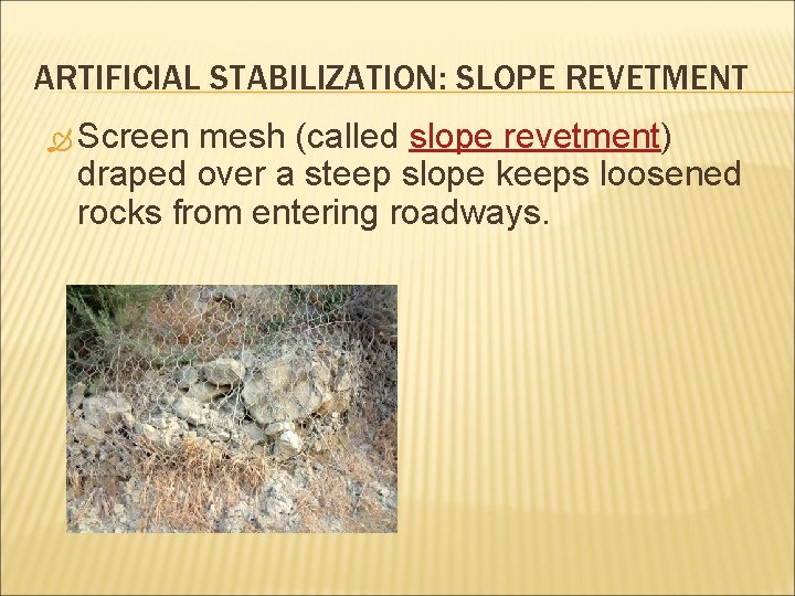 ARTIFICIAL STABILIZATION: SLOPE REVETMENT Screen mesh (called slope revetment) draped over a steep slope