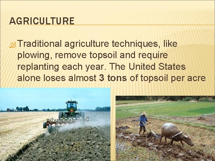 AGRICULTURE Traditional agriculture techniques, like plowing, remove topsoil and require replanting each year. The