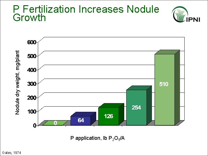 Nodule dry weight, mg/plant P Fertilization Increases Nodule Growth P application, lb P 2