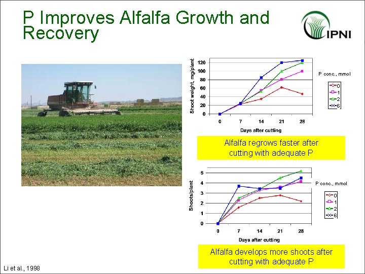 P Improves Alfalfa Growth and Recovery P conc. , mmol 0 1 2 6