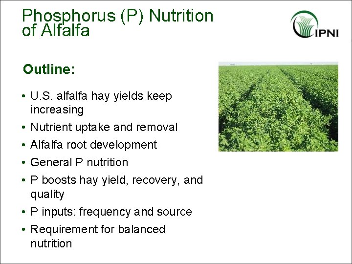 Phosphorus (P) Nutrition of Alfalfa Outline: • U. S. alfalfa hay yields keep increasing