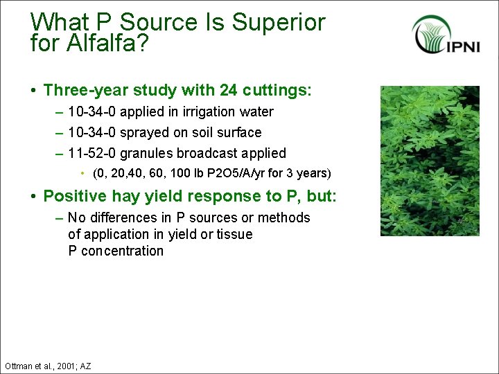 What P Source Is Superior for Alfalfa? • Three-year study with 24 cuttings: –