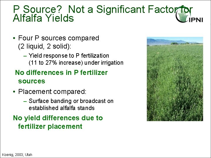 P Source? Not a Significant Factor for Alfalfa Yields • Four P sources compared