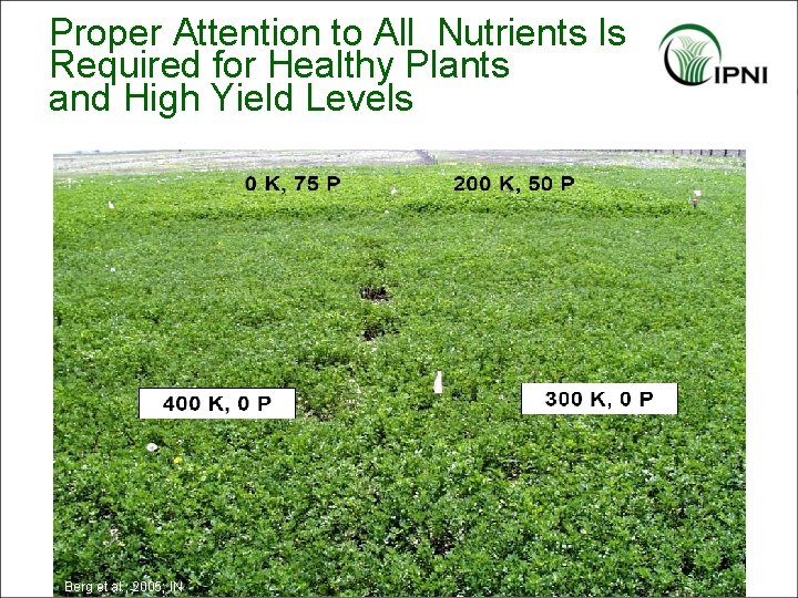 Proper Attention to All Nutrients Is Required for Healthy Plants and High Yield Levels