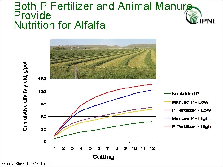Cumulative alfalfa yield, g/pot Both P Fertilizer and Animal Manure Provide Nutrition for Alfalfa