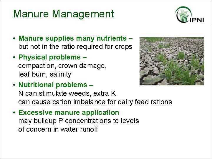 Manure Management • Manure supplies many nutrients – but not in the ratio required