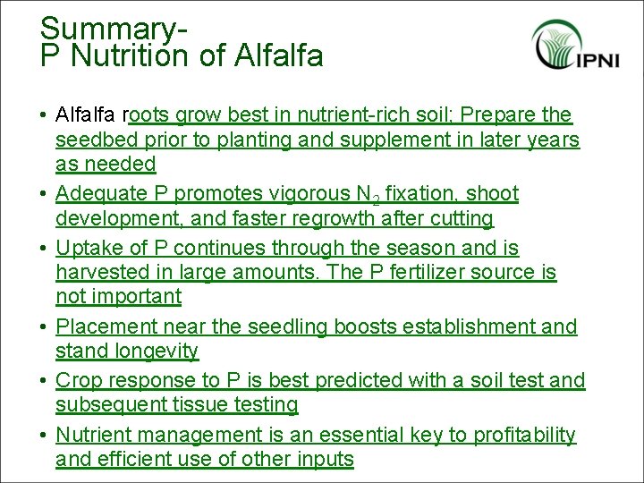 Summary. P Nutrition of Alfalfa • Alfalfa roots grow best in nutrient-rich soil; Prepare