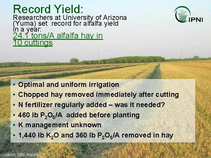 Record Yield: Researchers at University of Arizona (Yuma) set record for alfalfa yield in