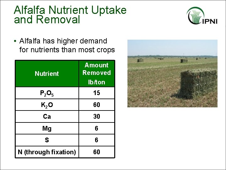Alfalfa Nutrient Uptake and Removal • Alfalfa has higher demand for nutrients than most