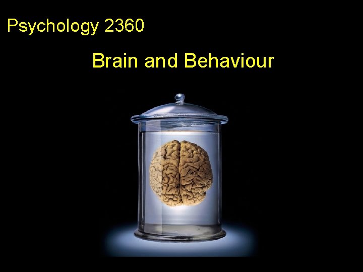 Psychology 2360 Brain and Behaviour 