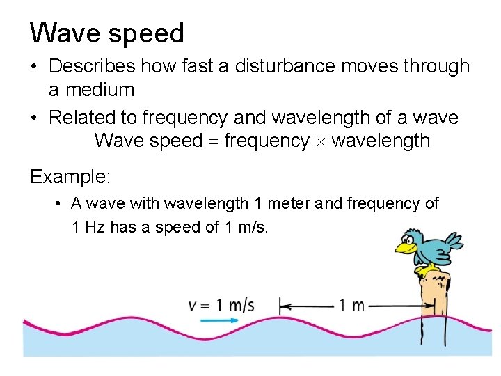 Wave speed • Describes how fast a disturbance moves through a medium • Related