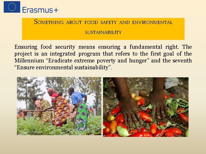 SOMETHING ABOUT FOOD SAFETY AND ENVIRONMENTAL SUSTAINABILITY Ensuring food security means ensuring a fundamental