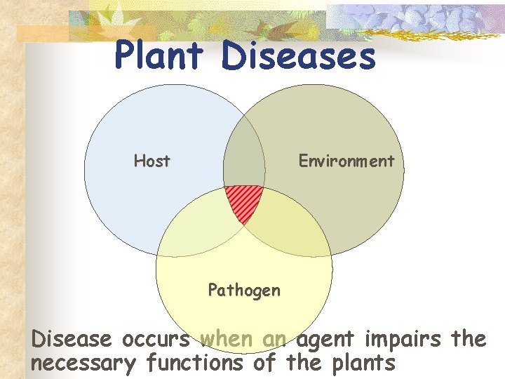 Plant Diseases Host Environment Pathogen Disease occurs when an agent impairs the necessary functions