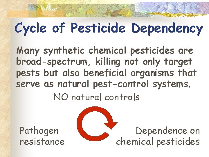 Cycle of Pesticide Dependency Many synthetic chemical pesticides are broad-spectrum, killing not only target