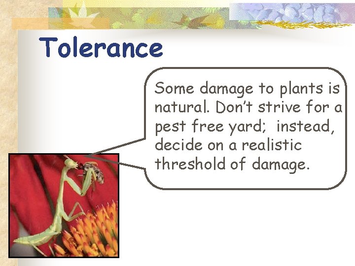 Tolerance Some damage to plants is natural. Don’t strive for a pest free yard;