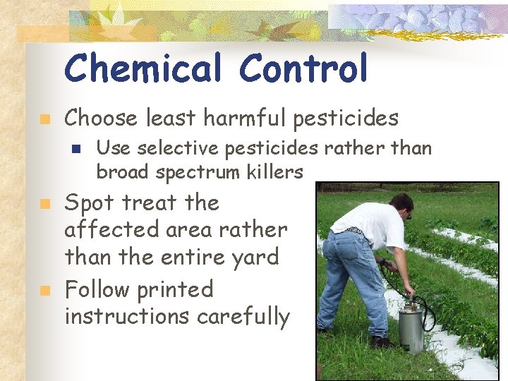 Chemical Control n Choose least harmful pesticides n n n Use selective pesticides rather