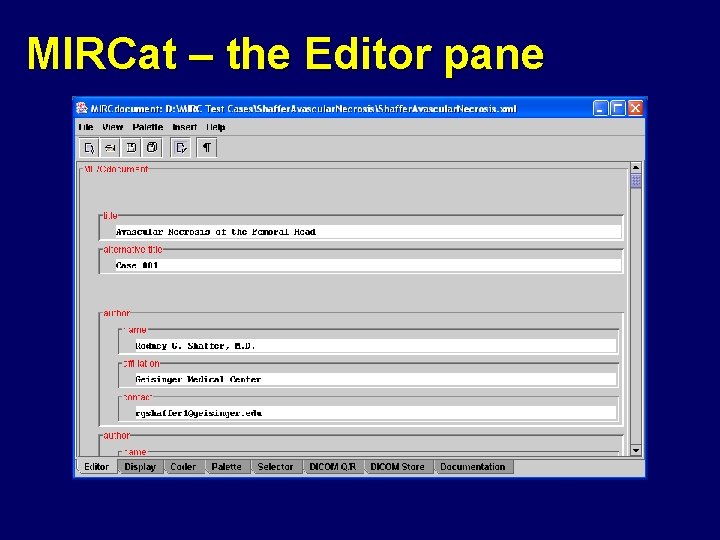 MIRCat – the Editor pane 