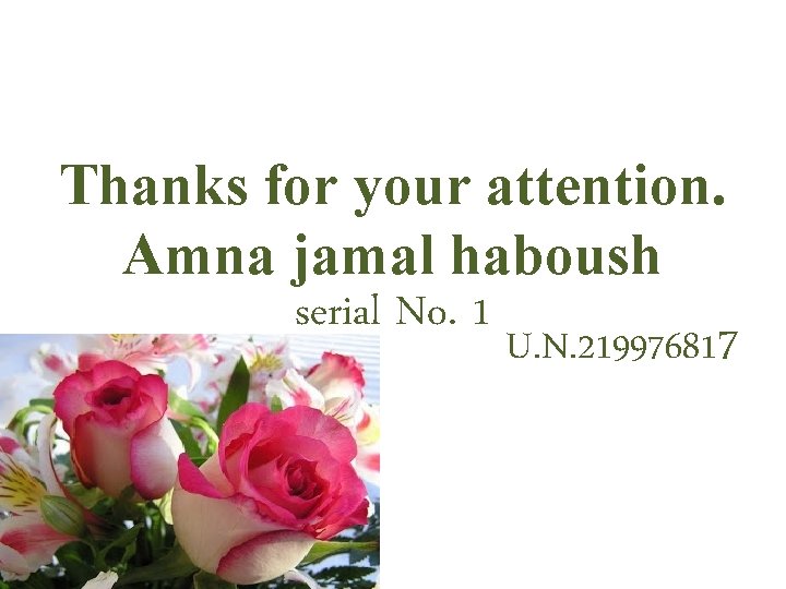 Thanks for your attention. Amna jamal haboush serial No. 1 U. N. 219976817 