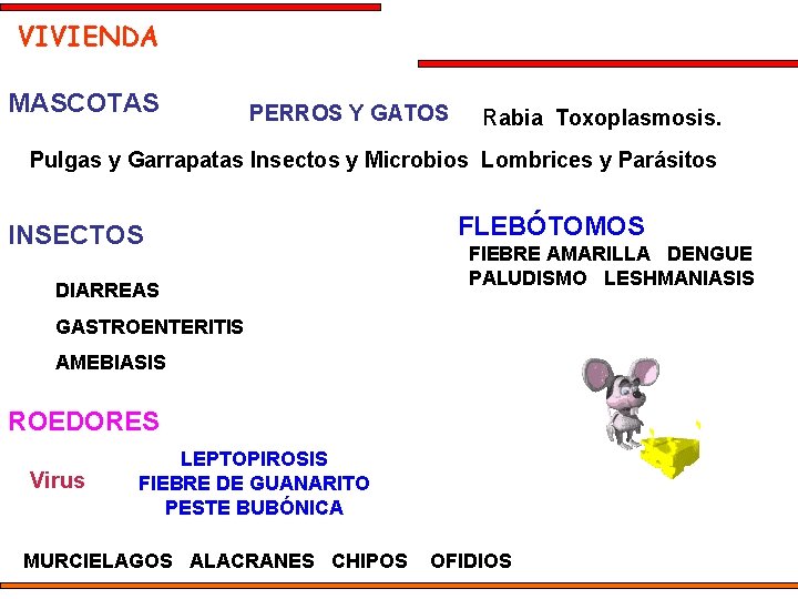 VIVIENDA MASCOTAS PERROS Y GATOS Rabia Toxoplasmosis. Pulgas y Garrapatas Insectos y Microbios Lombrices