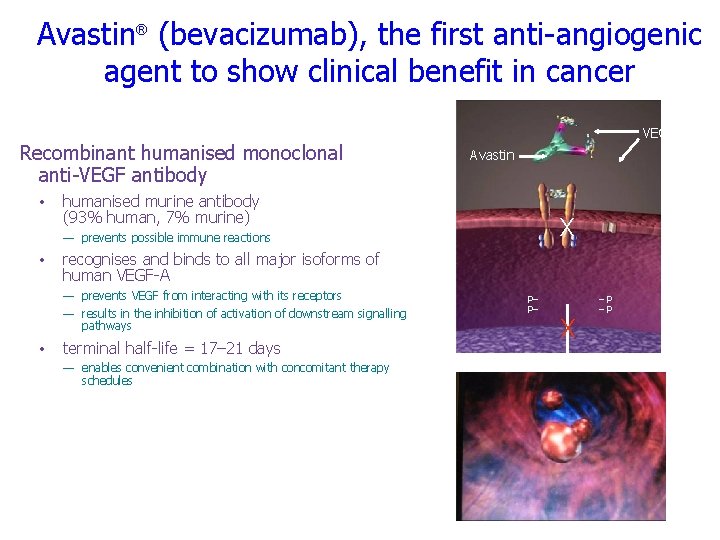 Avastin® (bevacizumab), the first anti-angiogenic agent to show clinical benefit in cancer Recombinant humanised