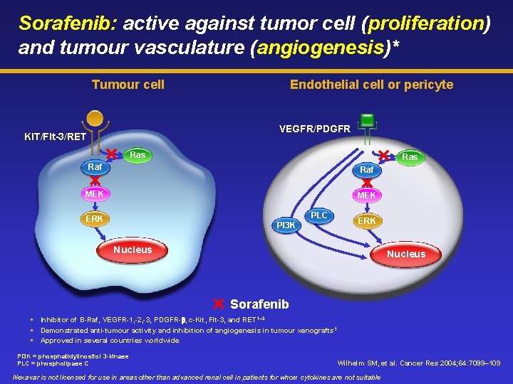 Sorafenib: active against tumor cell (proliferation) and tumour vasculature (angiogenesis)* Tumour cell Endothelial cell