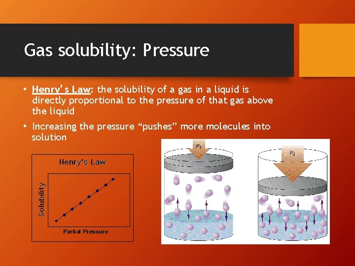 Gas solubility: Pressure • Henry’s Law: the solubility of a gas in a liquid