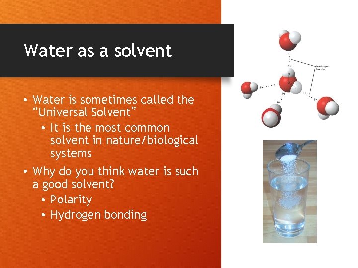 Water as a solvent • Water is sometimes called the “Universal Solvent” • It