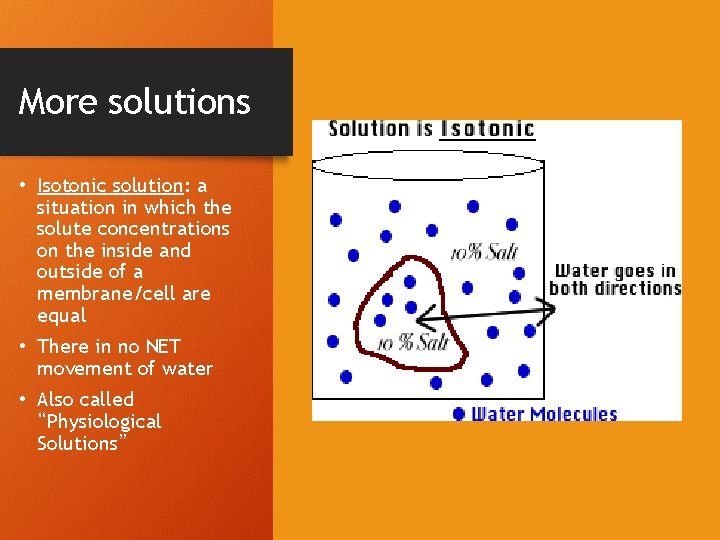 More solutions • Isotonic solution: a situation in which the solute concentrations on the