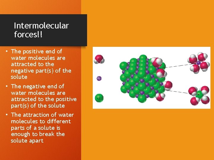 Intermolecular forces!! • The positive end of water molecules are attracted to the negative