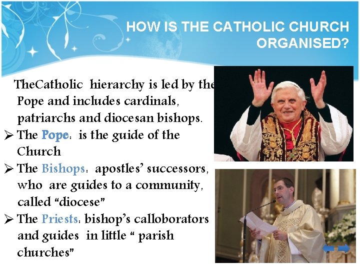 HOW IS THE CATHOLIC CHURCH ORGANISED? The. Catholic hierarchy is led by the Pope